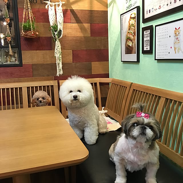 ANNAさんの実例写真