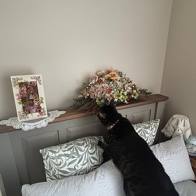 momocchiさんの部屋