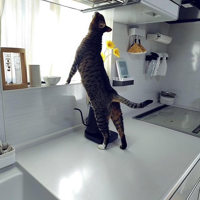 nachiさんの部屋