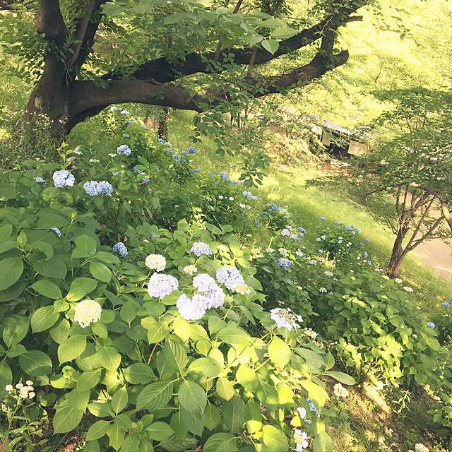 Rie.uさんの実例写真