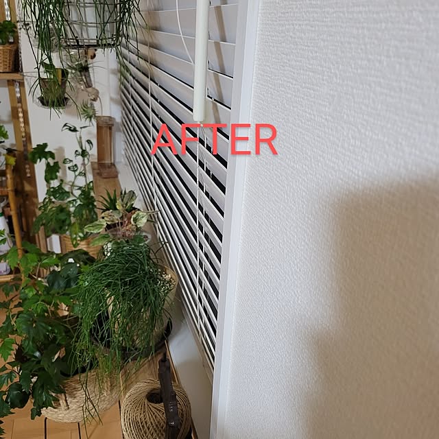 akiak.3さんの部屋