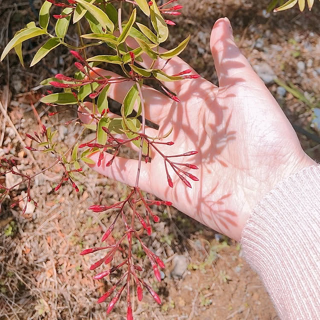 eriharuさんの実例写真