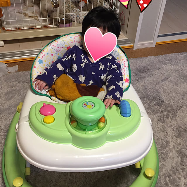 pu-chanさんの実例写真