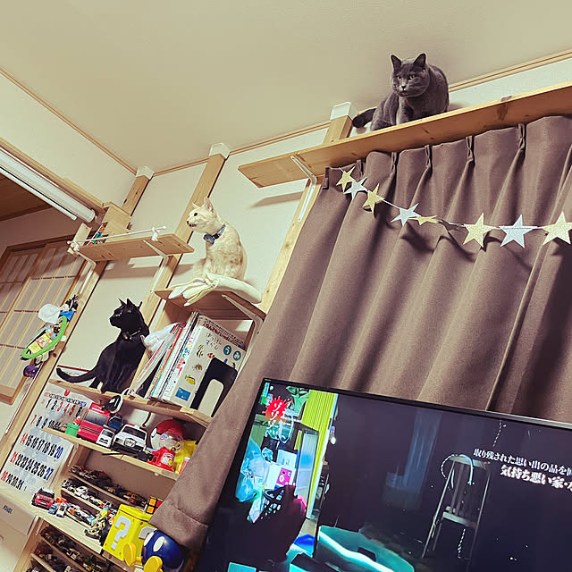 beer.chanさんの実例写真