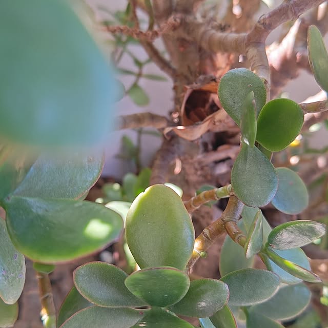 otibi.tt8787さんの部屋