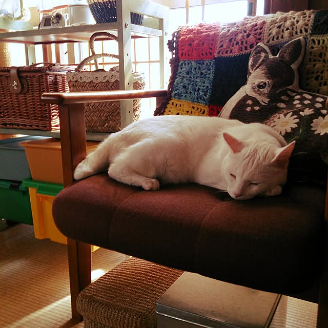 amifuuさんの実例写真