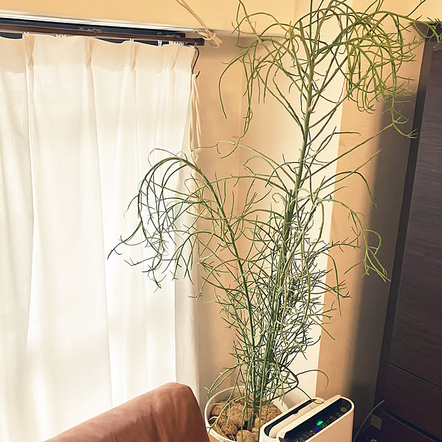 coochanさんの部屋
