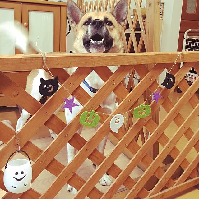 tirolskoさんの実例写真