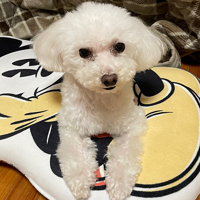 kakoさんの部屋