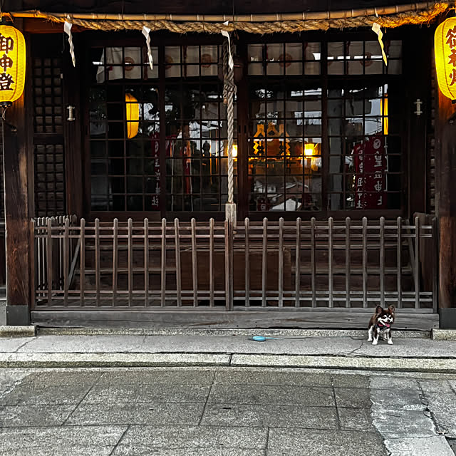 chIoeさんの部屋