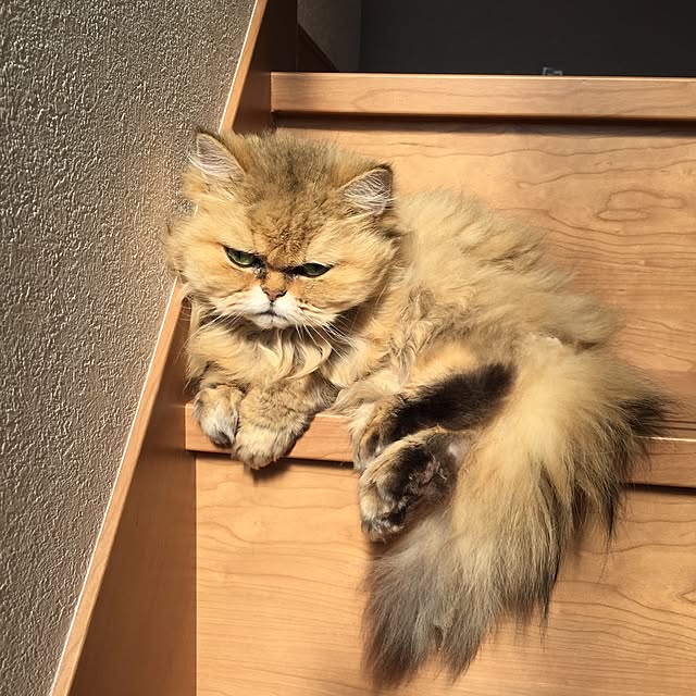 r-m.sさんの実例写真