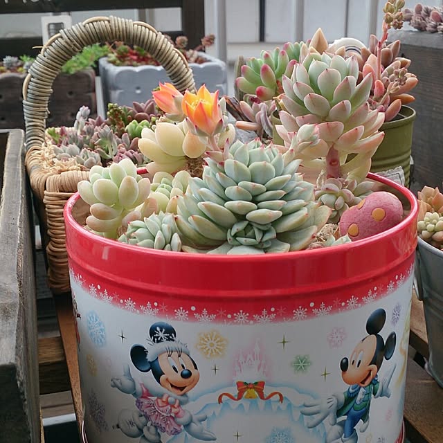 moonさんの実例写真