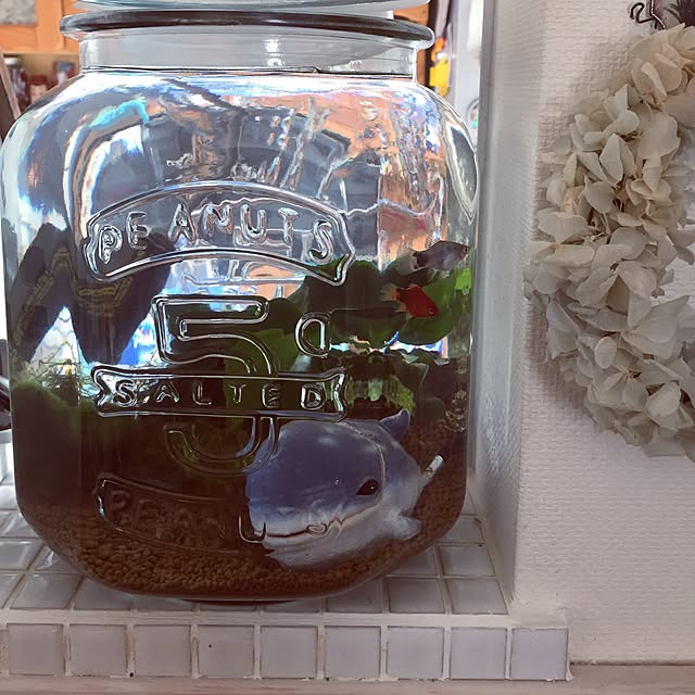 382さんの実例写真