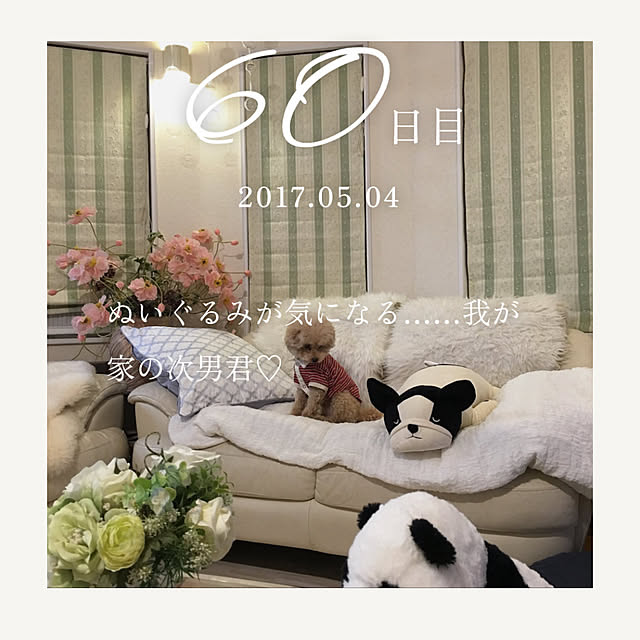 chocomamaさんの部屋