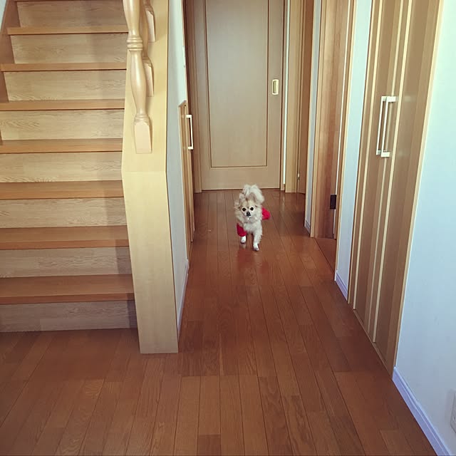 chocomamaさんの実例写真