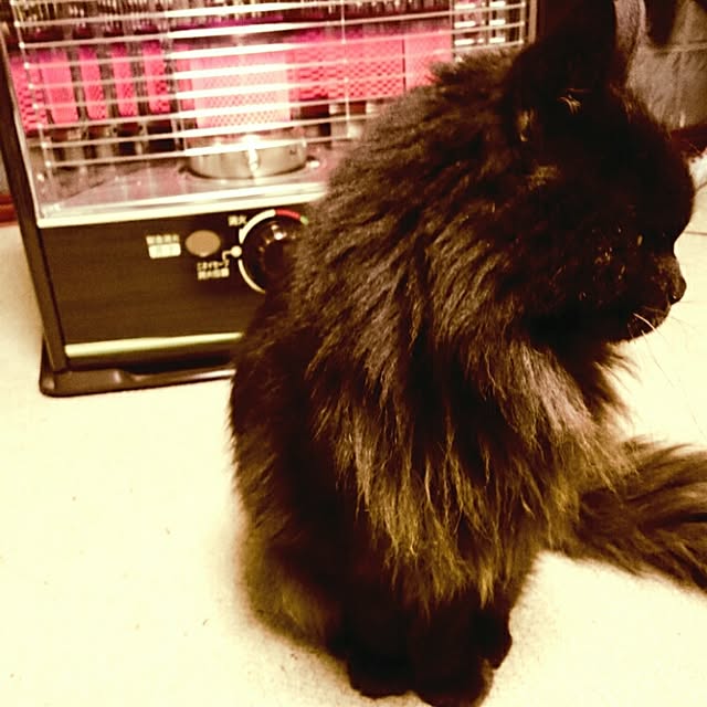 nanaさんの実例写真