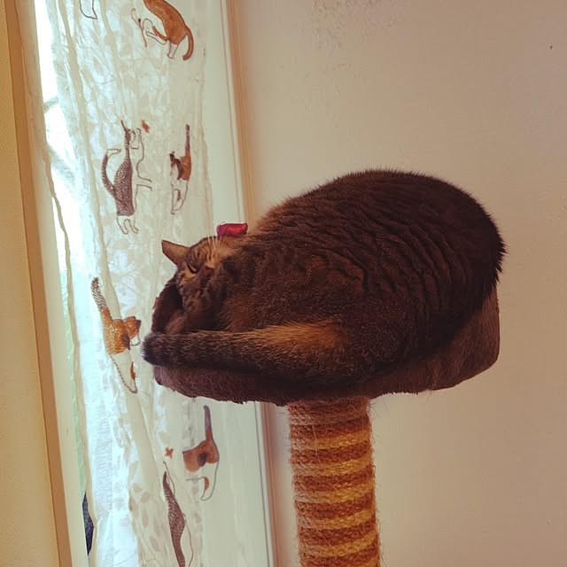 naonamiさんの実例写真