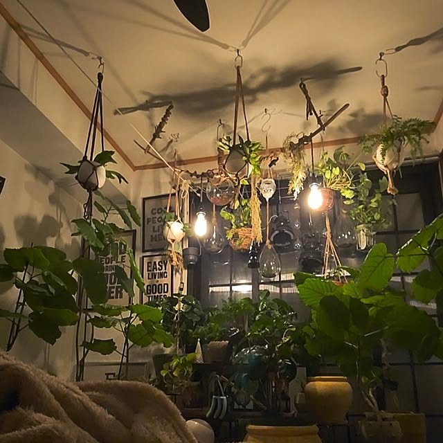 CYNOSさんの実例写真