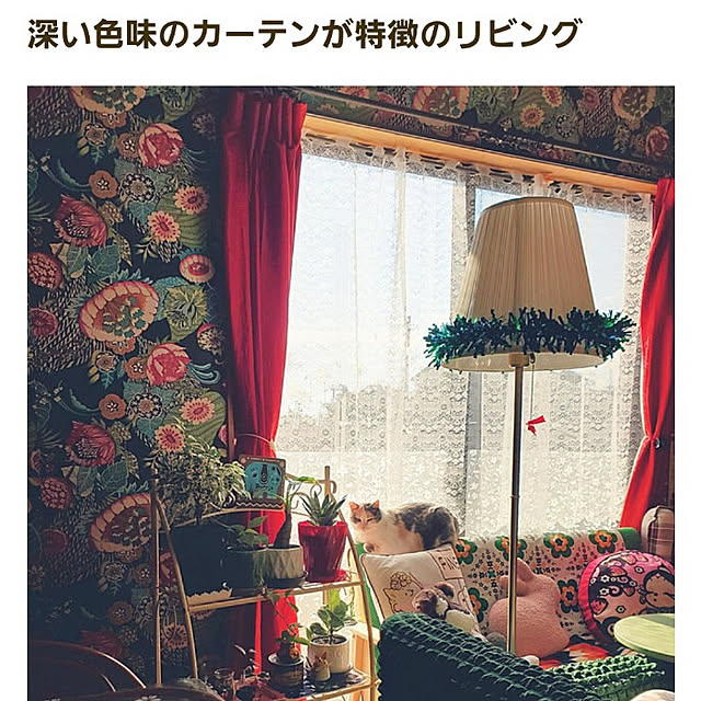 kumutanさんの実例写真