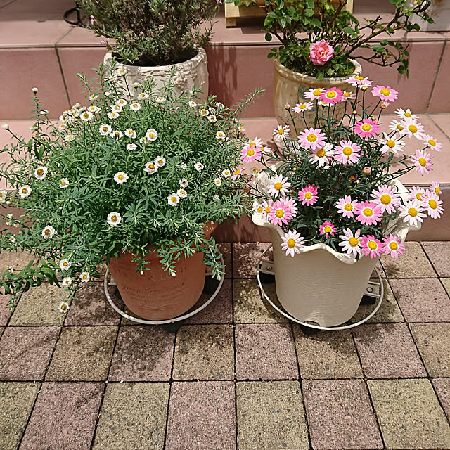 fleur-mamanさんの実例写真