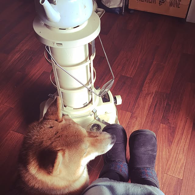 mitubachiさんの実例写真