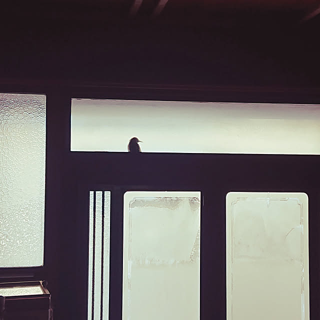 1000spring1015さんの実例写真