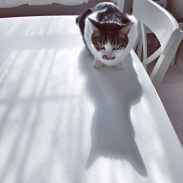 yuchiさんの実例写真