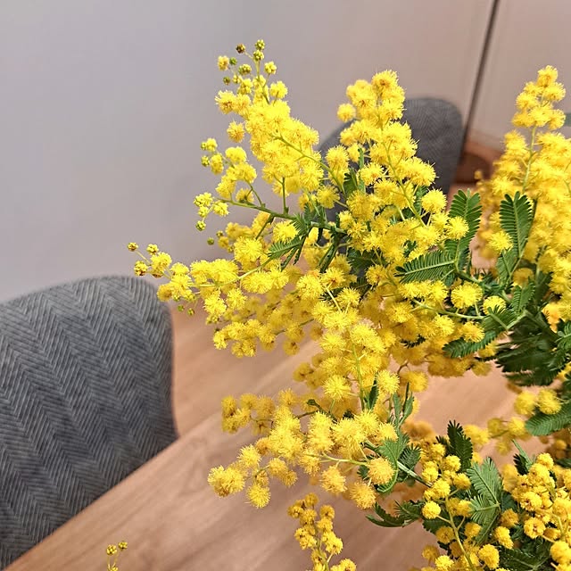 Jijiさんの部屋
