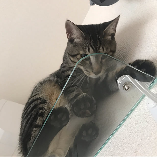 umeboshi08さんの実例写真