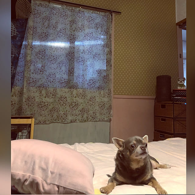 shippoさんの実例写真