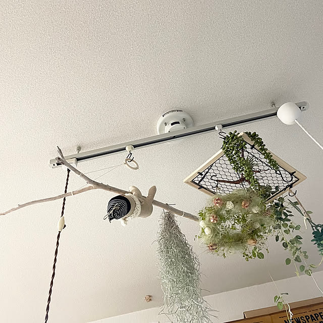 honpoさんの実例写真