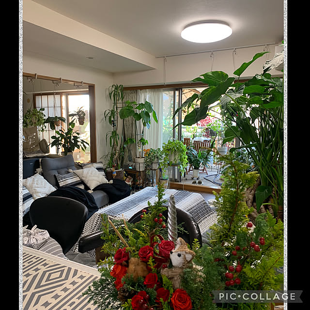 Aqettyさんの部屋