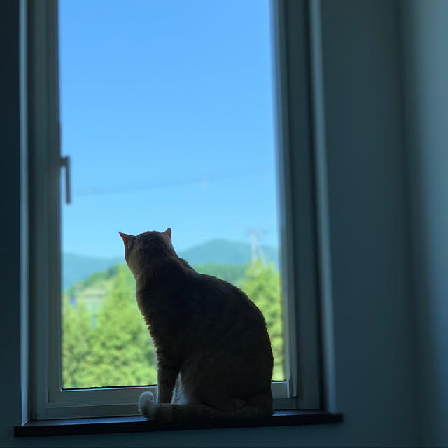 mikeume7さんの実例写真