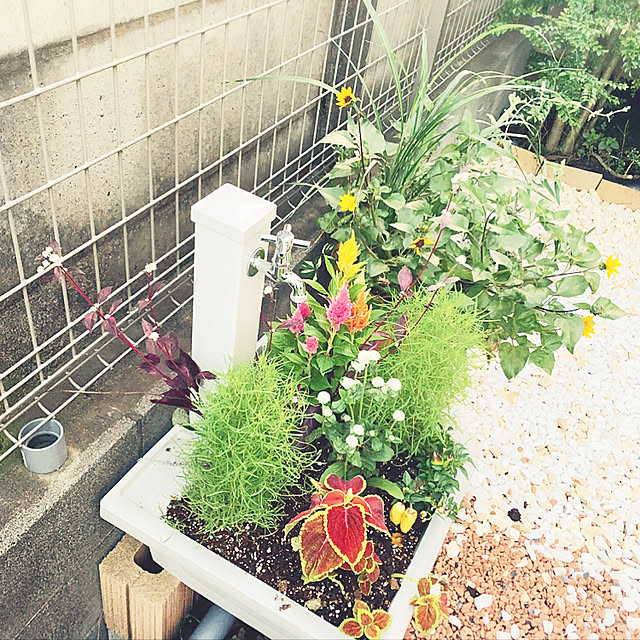 hiromin35kさんの実例写真