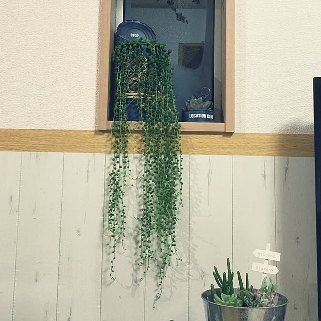 amiさんの実例写真