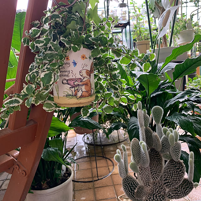 Aqettyさんの部屋