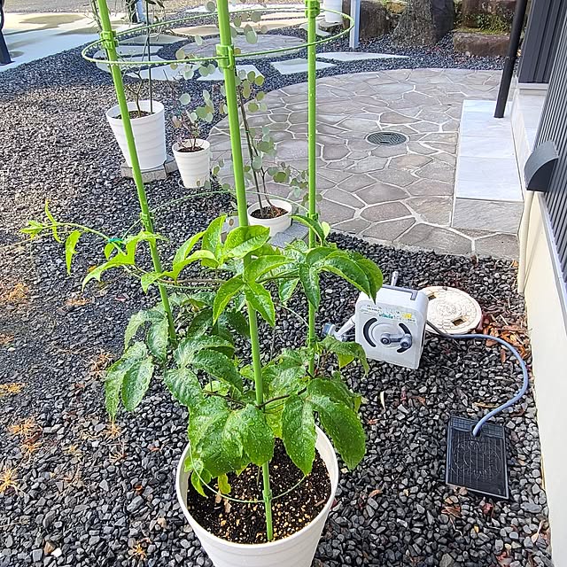 Rubiconさんの部屋