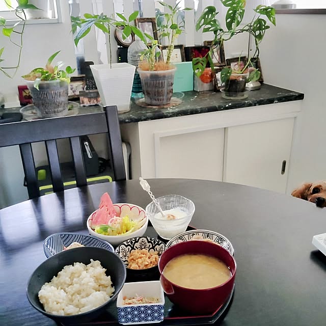 MOMOMAMAさんの実例写真