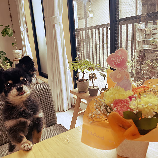 cocoさんの実例写真