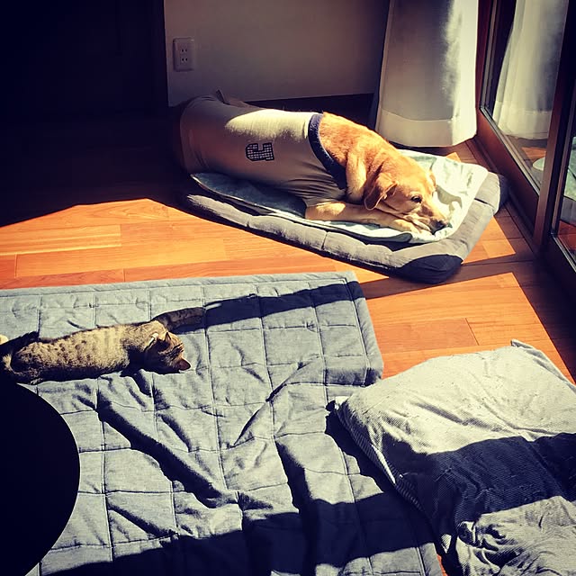 Annieさんの実例写真