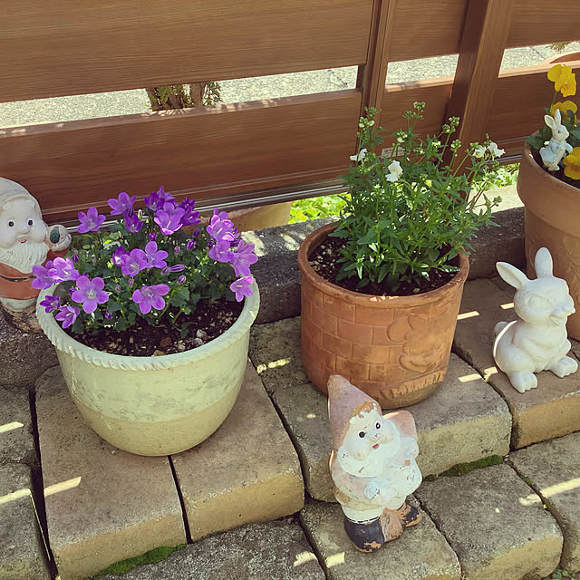 haruminさんの実例写真