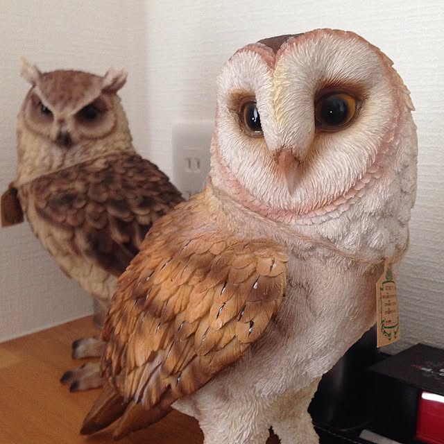 annaさんの実例写真