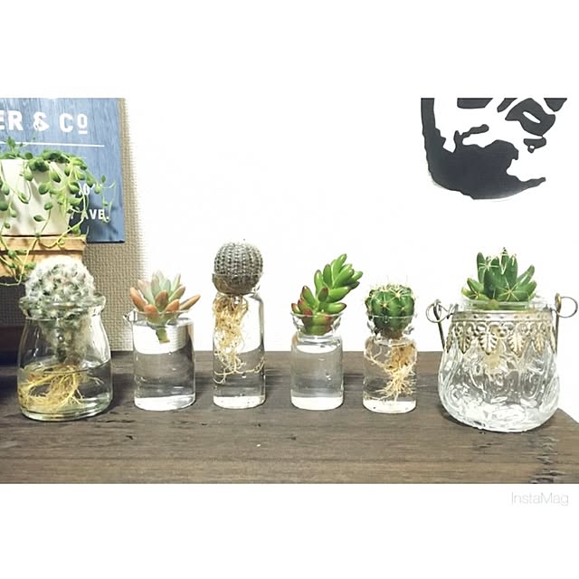 natsu.remonさんの実例写真