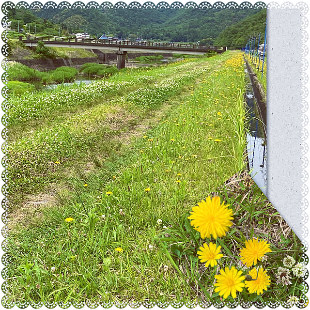cota2さんの実例写真