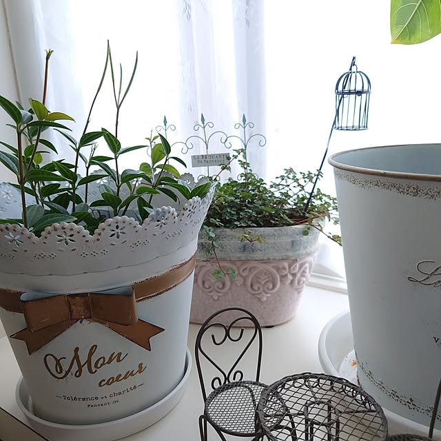 fleur-mamanさんの部屋