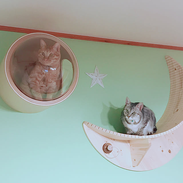 mako0301さんの実例写真