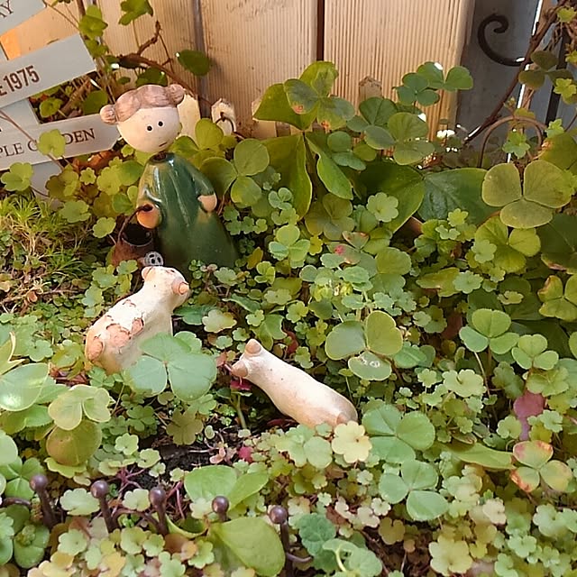 h.mwakabaさんの実例写真