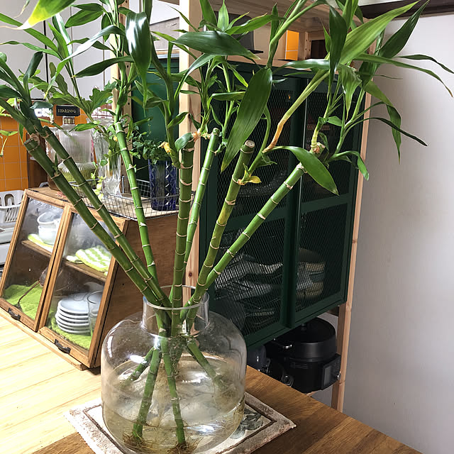 banbanさんの実例写真