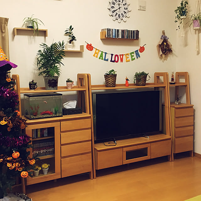 観葉植物/ニトリ/リビングのインテリア実例 - 2021-10-12 23:45:43