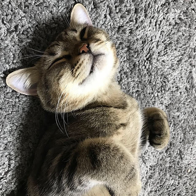 Yukikoさんの実例写真